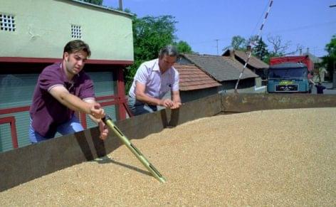 The Hungarian seed is a competitive economic value