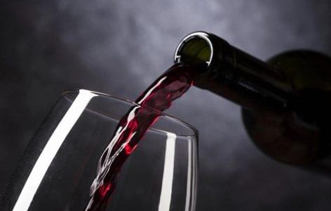 Unique wine business training starts at the Tokaj-Hegyalja University