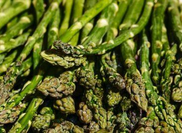 A colorful season: changing trends in the European asparagus market