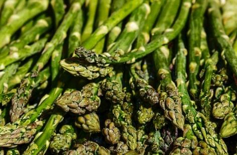 A colorful season: changing trends in the European asparagus market