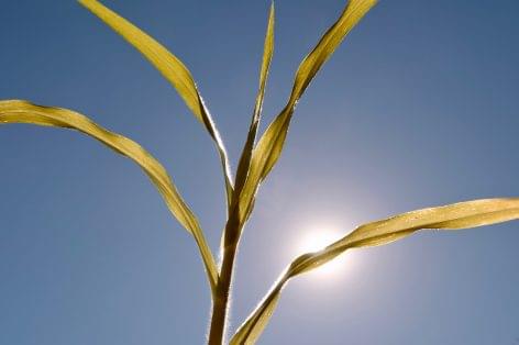 Record hot summer: we have survived the hottest months in the last 123 years