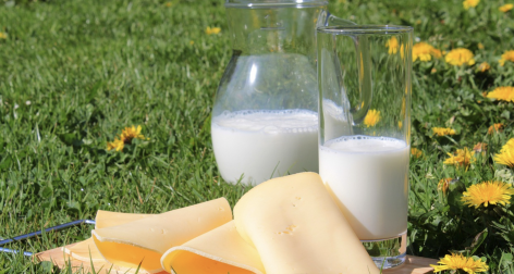 Milk Product advice: new rules apply to Trappist cheese