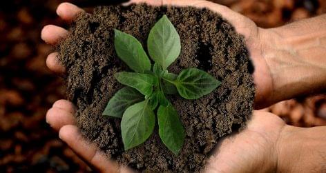 The third leg of ESG is more important than we think