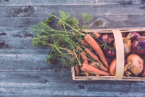Finnish Consumers Named ‘Most Sustainable Shoppers’ In Europe