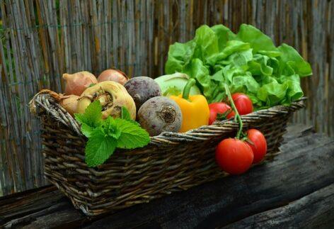 Vegetable growers can expect a difficult period