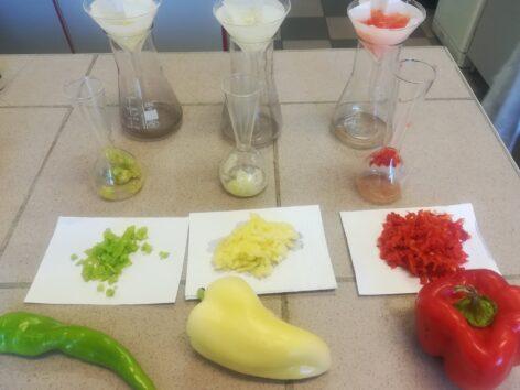 From autumn, MATE will start specialized further training for fruit and vegetable processing engineers and consultants