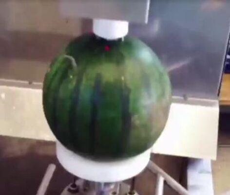 Some more fantastic fruit processing machines! – Video of the day