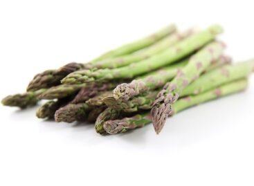 High-quality Hungarian asparagus is a sought-after product on both domestic and export markets