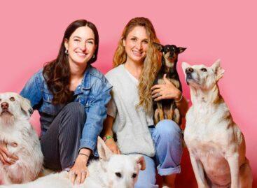 Vegdog Raises €9 Million To Expand Vegan Dog Food Business Across Europe